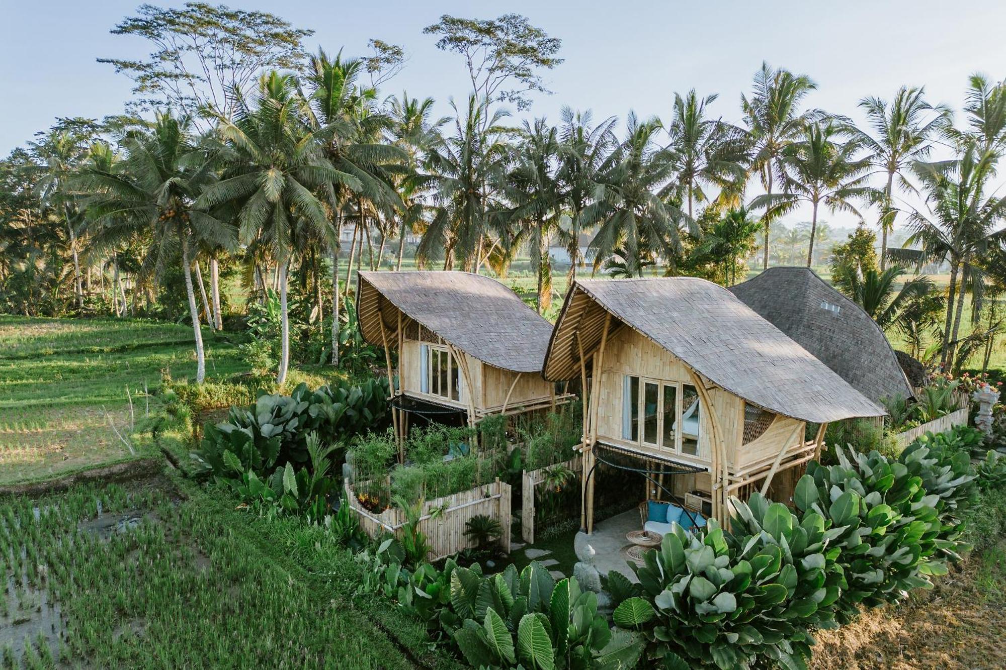 Puca Gavi Eco Luxury Villa Ubud Managed By Manara Buitenkant foto